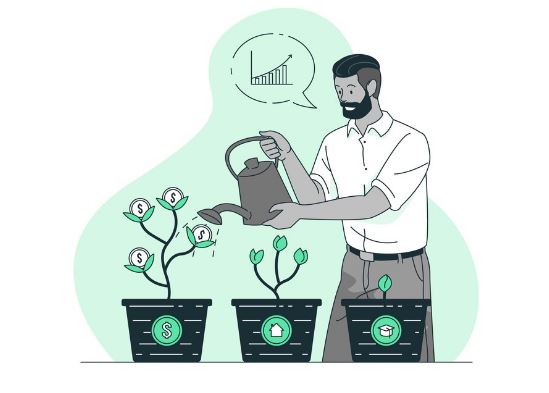 CFO Services